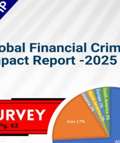 Global Financial Crimes Impact Report 2025